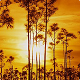 scenery